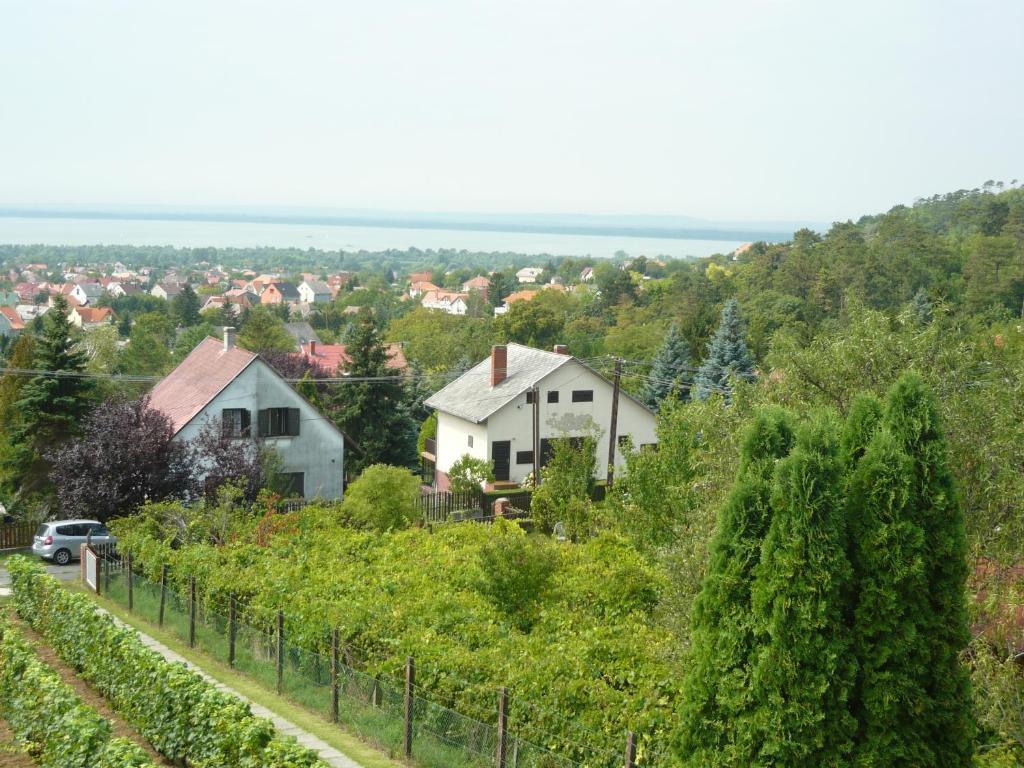 Judit Vendeghaz A Balatonnal Villa Vonyarcvashegy Luaran gambar